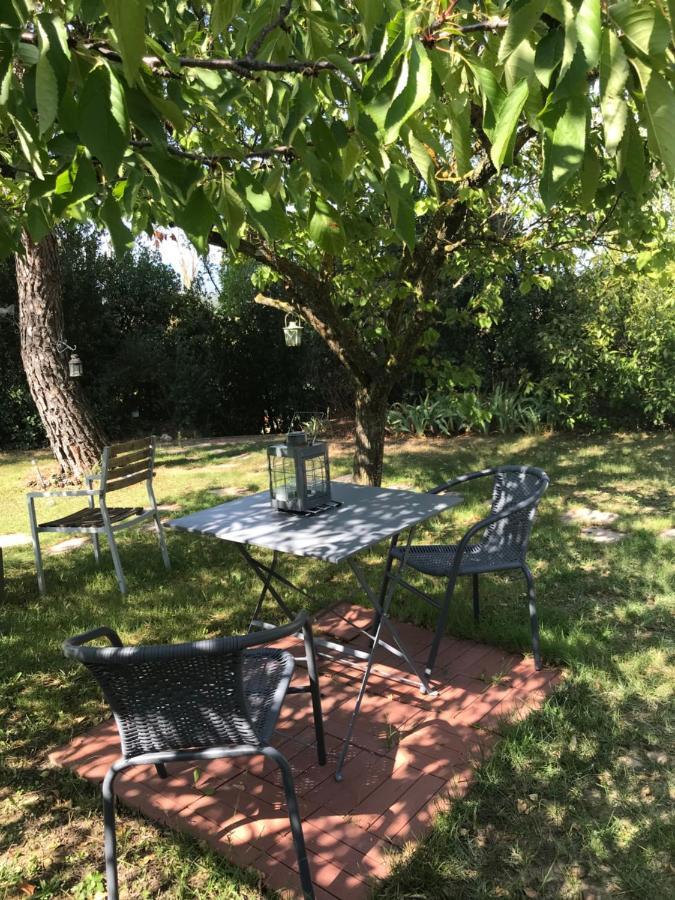 Le Jardin De La Cite Bed & Breakfast Carcassonne Luaran gambar